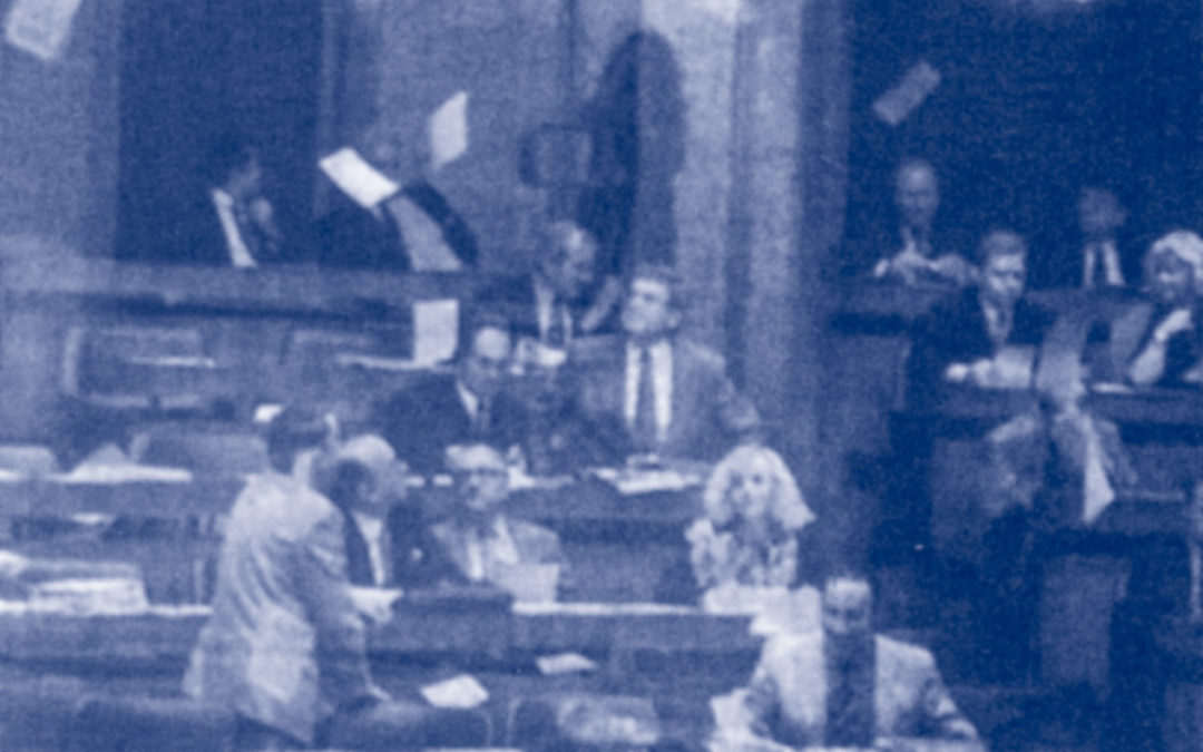 Flugblatt-Aktion im Parlament