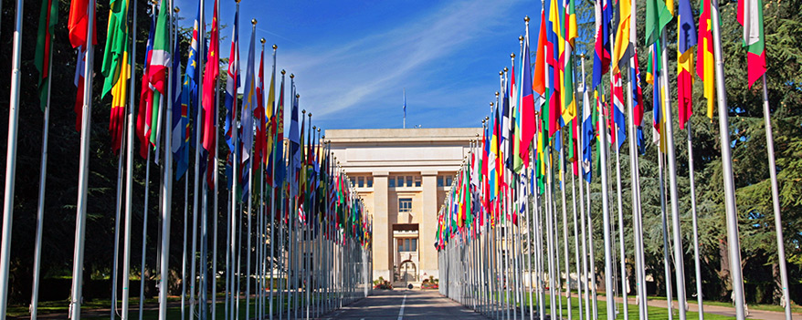 HOSI Wien übermittelt Schattenbericht an UNO-Ausschuss für Menschenrechte